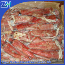 frozen squid loligo chinensis, China loligo, Taiwan loligo